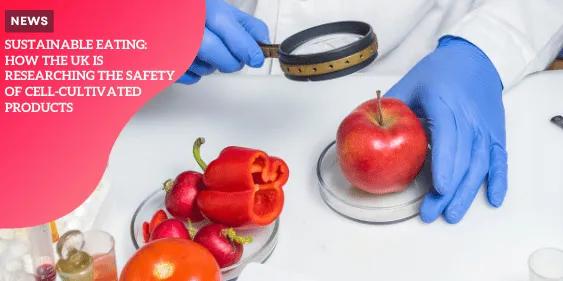 Sustainable Eating: How the UK is Researching the Safety of Cell ...