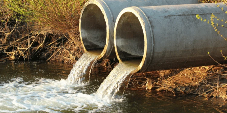 Sewage Pollution